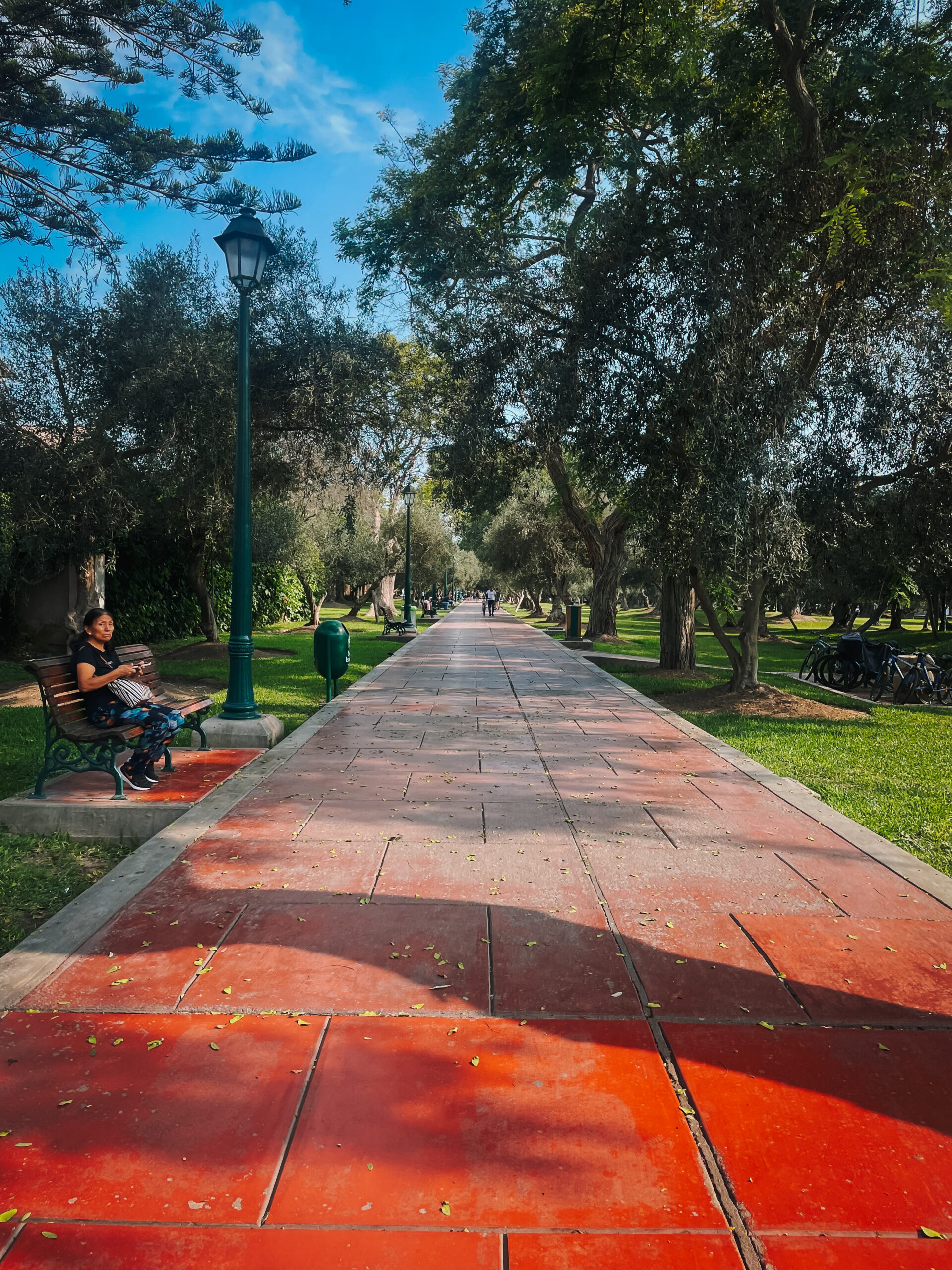 Unique things to do in Lima Stone path at El olivar Park in Lima