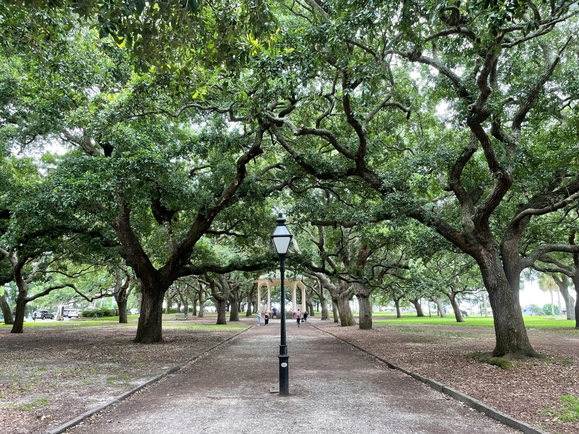 Park in Savannah with large oak trees