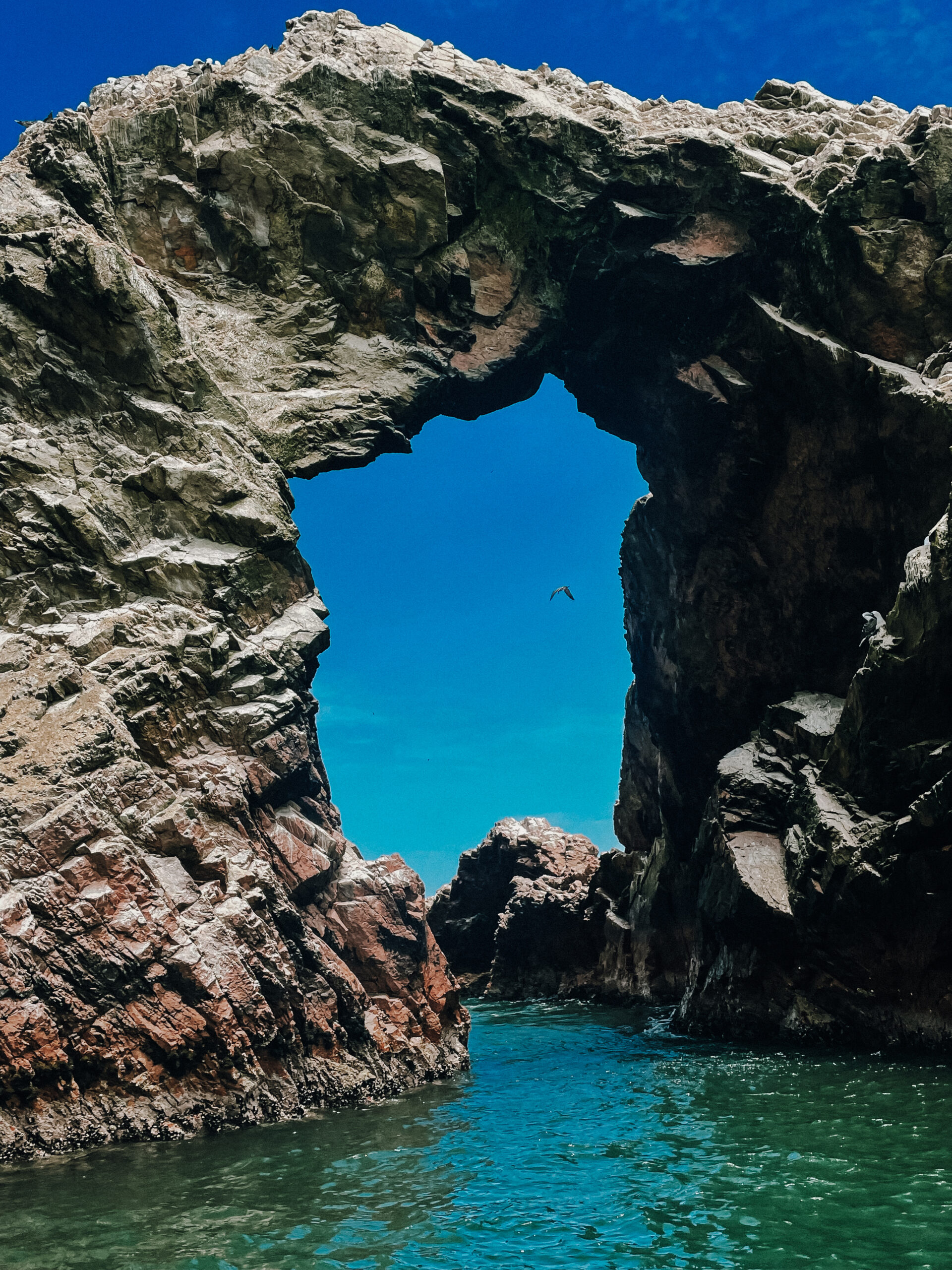 bird flying under rock arch with ocean below during Ballestas Island Tour