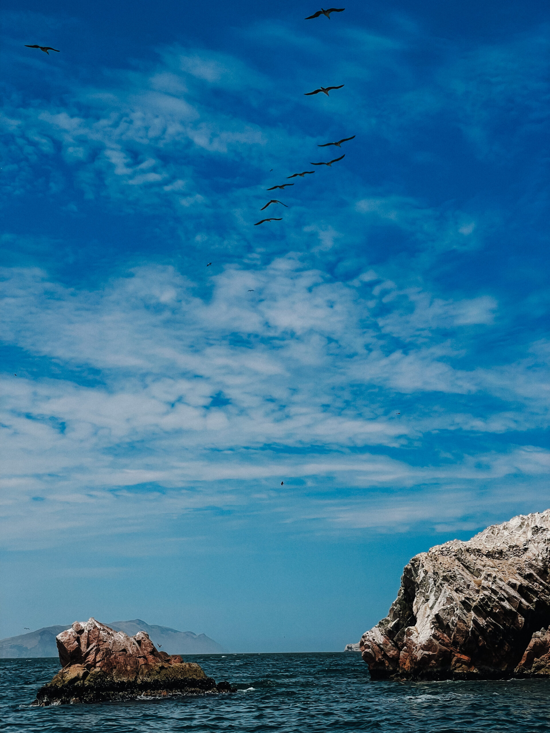 birds flying above ocean with rock formations in the water during Ballestas Island Tour