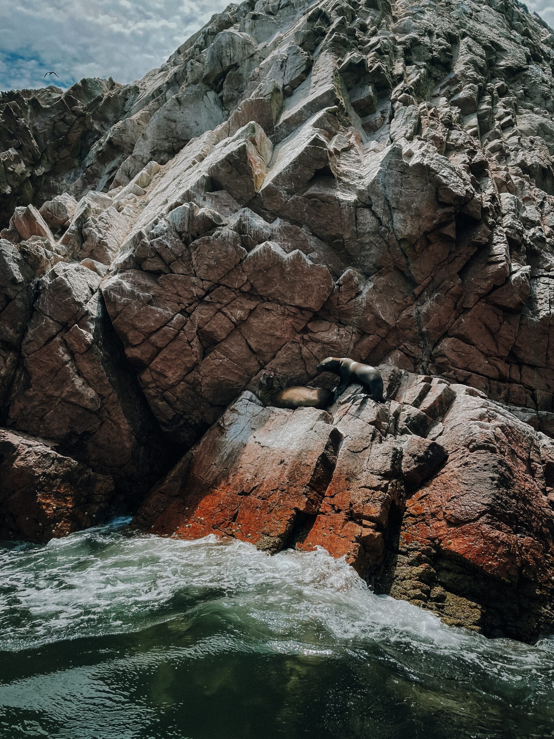 sea lions sitting on large rock with waves below during Ballestas Island Tour