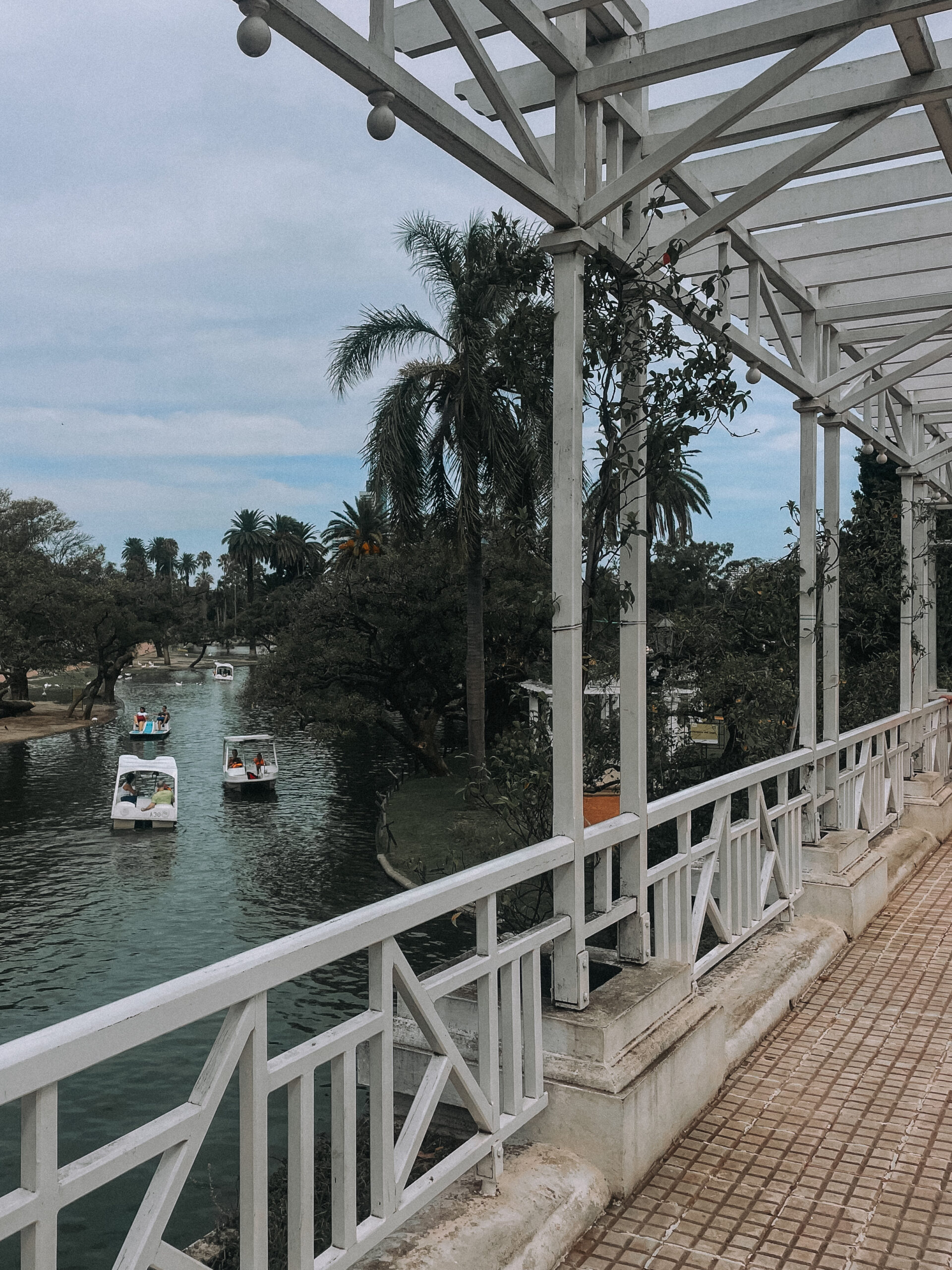 Pedal boats in water at El Rosedal garden in Buenos Aires