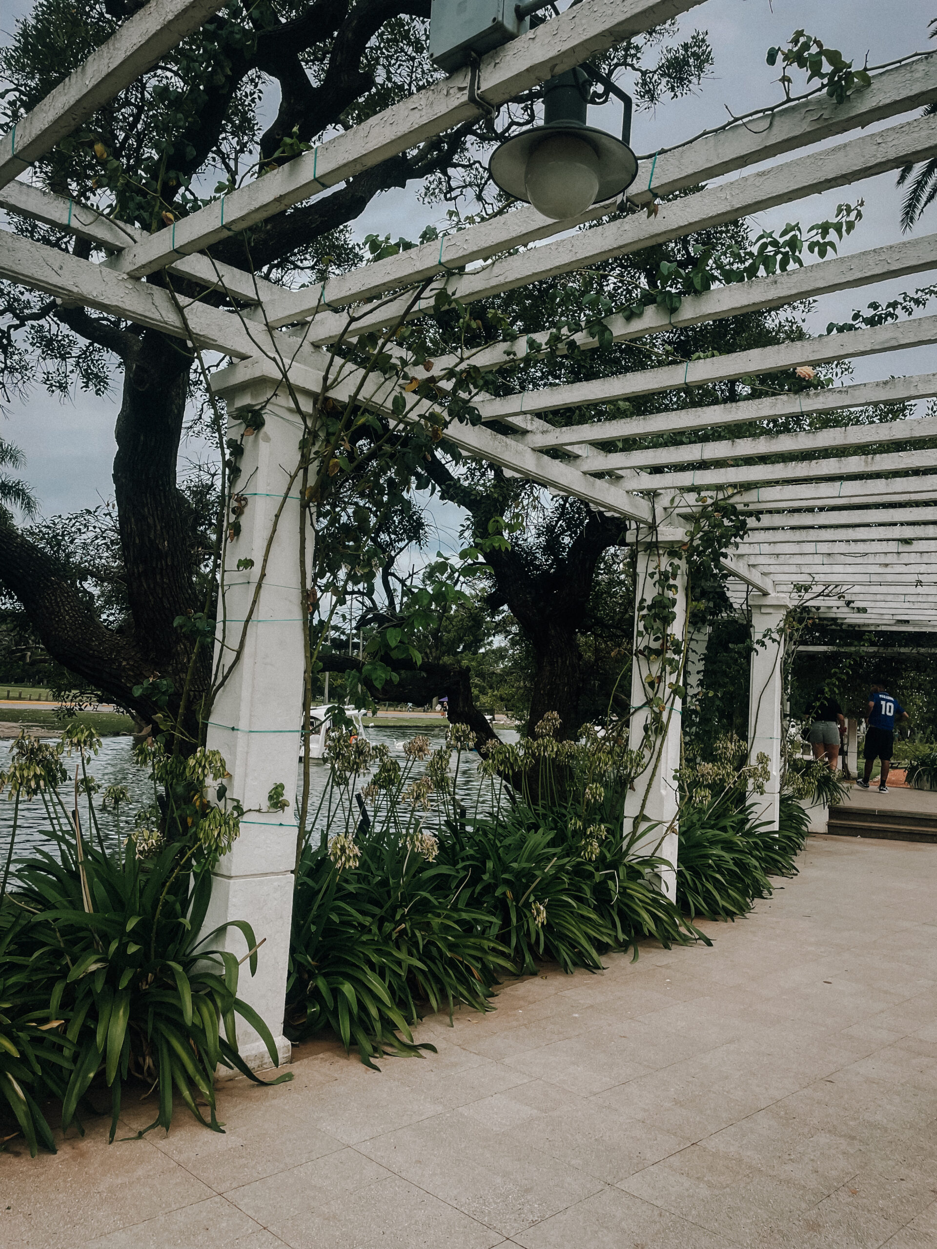 White pergola with vines wrapped around the roof in El Rosedal garden in Buenos Aires