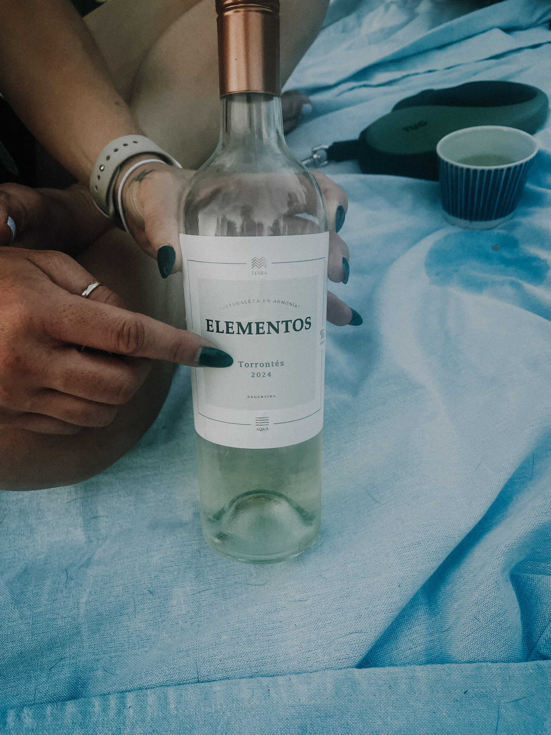 Hand pointing to a bottle of Torrontes wine in Buenos Aires