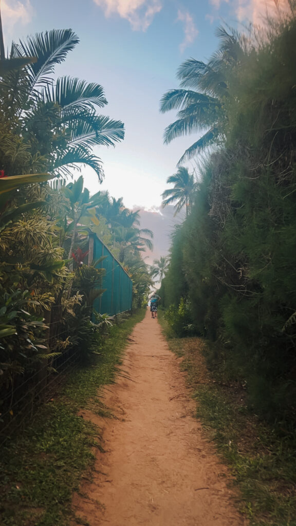 5-day Kauai itinerary lush dirt path leading to ocean in Hanalei, Kauai